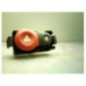 Bouton de warning RENAULT CLIO 3
