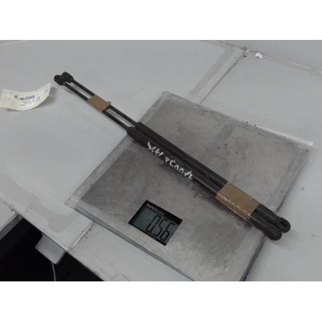 Verin de coffre PEUGEOT 1007 Photo n°1