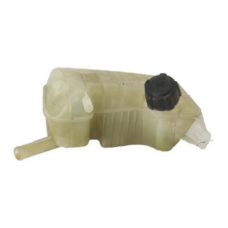 Vase d'expansion RENAULT GRAND SCENIC 2 Photo n°1