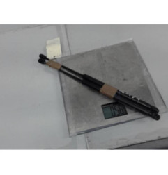 Verin de coffre RENAULT CLIO 3