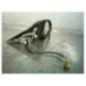 Retroviseur droit SEAT IBIZA 3