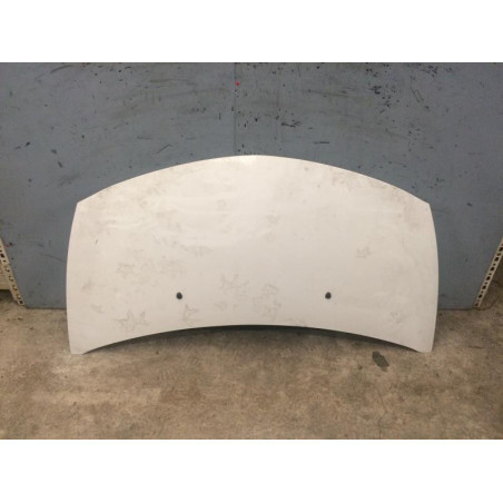 Capot RENAULT CLIO 3 Photo n°1