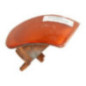 Optique avant secondaire gauche (feux)(clignotant) FORD SIERRA