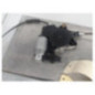Moteur leve vitre avant gauche MAZDA 3 1