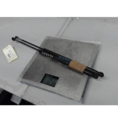 Verin de coffre PEUGEOT 1007 Photo n°1