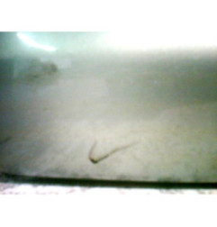 Retroviseur droit OPEL VECTRA C