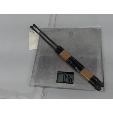 Verin de coffre VOLKSWAGEN FOX