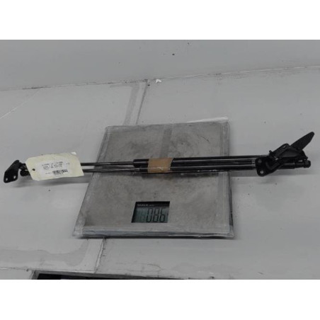 Verin de coffre NISSAN JUKE 1 Photo n°1