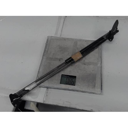 Verin de coffre NISSAN JUKE 1