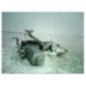 Moteur leve vitre arriere droit PEUGEOT 206