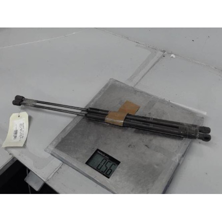 Verin de coffre PEUGEOT 1007 Photo n°1