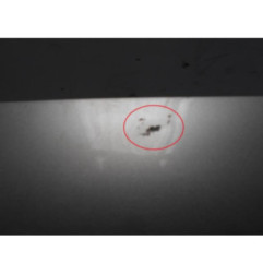 Capot CITROEN EVASION Photo n°5