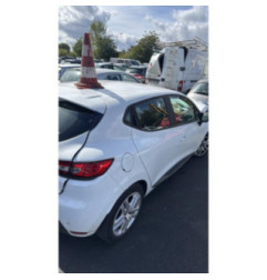 Porte arriere gauche RENAULT CLIO 4 Photo n°10