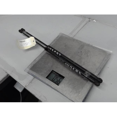 Verin de coffre PEUGEOT 1007 Photo n°1