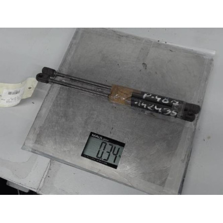 Verin de coffre PEUGEOT 407 Photo n°1