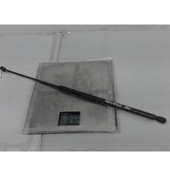 Verin de capot VOLKSWAGEN NEW BEETLE 1