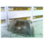 Optique avant secondaire droit (feux)(clignotant) FIAT PUNTO 1