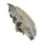 Optique avant principal gauche (feux)(phare) MERCEDES CLASSE A 168