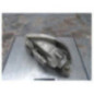 Optique avant secondaire droit (feux)(clignotant) RENAULT ESPACE 2