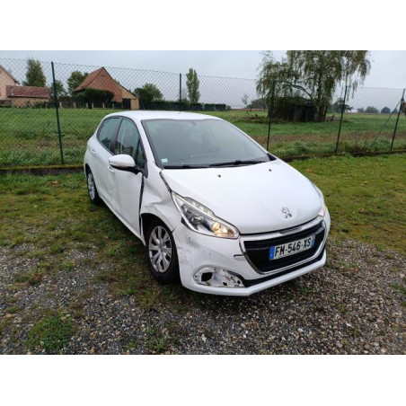 Custode avant droit (porte) PEUGEOT 208 1