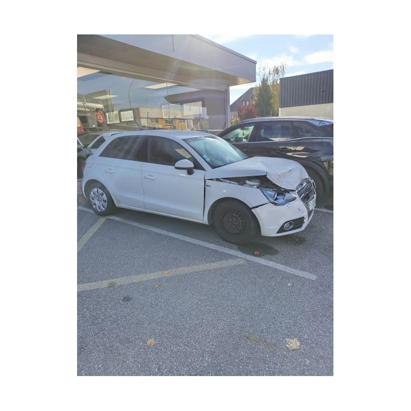 Panneau de porte arriere droit AUDI A1 1