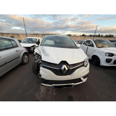 Garniture de pavillon RENAULT GRAND SCENIC 4 Photo n°1