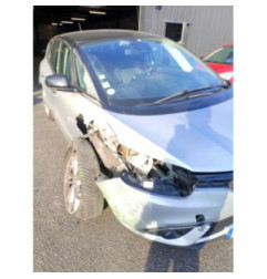 Panneau de porte arriere droit RENAULT SCENIC 4 Photo n°4