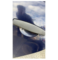 Porte arriere gauche DACIA DUSTER 1 Photo n°4