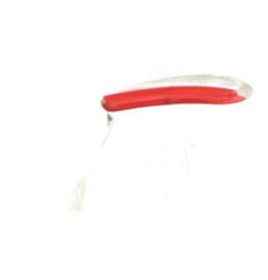 Feu de recul droit FIAT PUNTO 3 Photo n°5