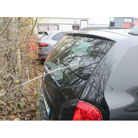 Vitre arriere gauche DACIA DUSTER 1