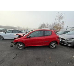 Malle/Hayon arriere PEUGEOT 206+