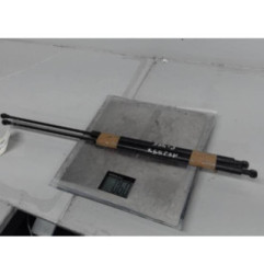 Verin de capot PEUGEOT 406 Photo n°1