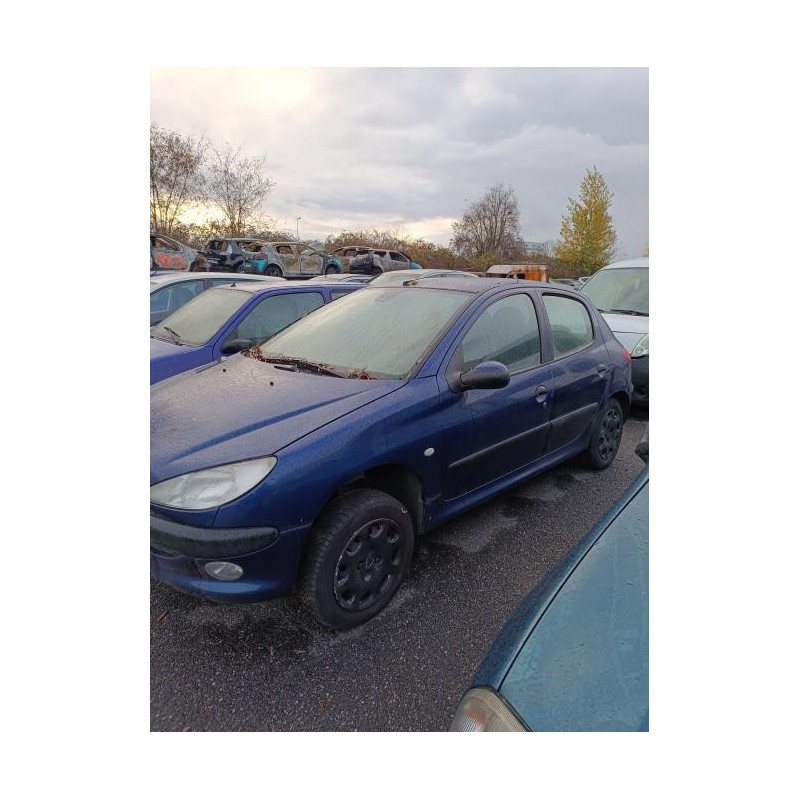 Porte arriere gauche PEUGEOT 206