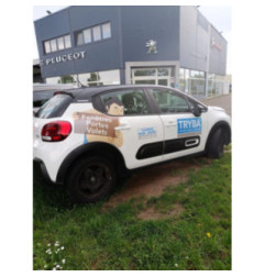 Amortisseur arriere gauche CITROEN C3 3 Photo n°3