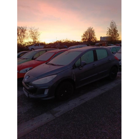 Mastervac PEUGEOT 308 1 Photo n°1