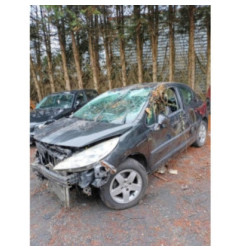 Malle/Hayon arriere PEUGEOT 207 Photo n°1