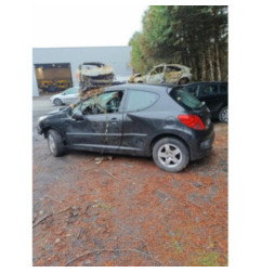 Malle/Hayon arriere PEUGEOT 207 Photo n°3