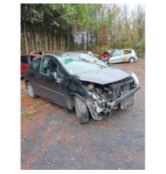 Malle/Hayon arriere PEUGEOT 207 Photo n°5