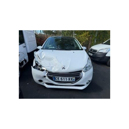 Porte arriere gauche PEUGEOT 208 1 Photo n°1