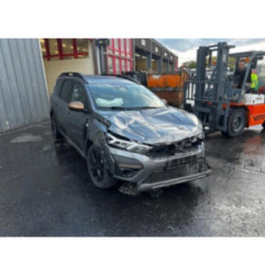 Mastervac DACIA JOGGER