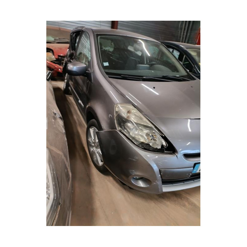 Porte arriere gauche RENAULT CLIO 3
