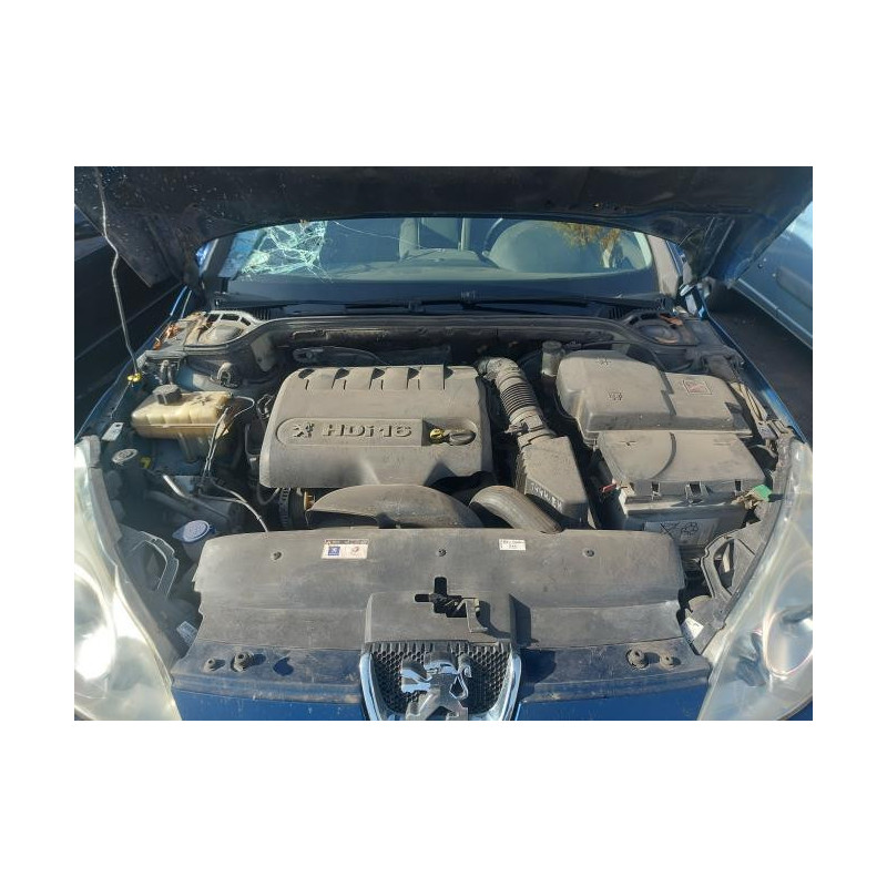 Custode arriere droit (porte) PEUGEOT 407