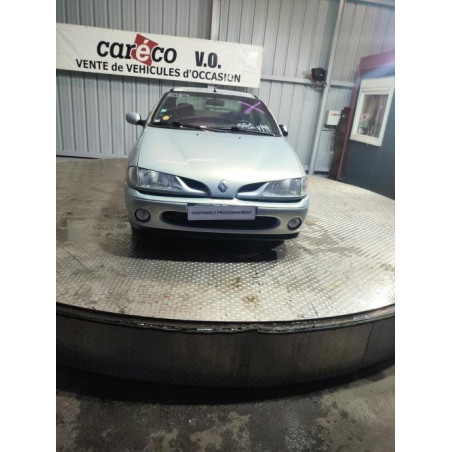 Porte avant droit RENAULT MEGANE 1 Photo n°1