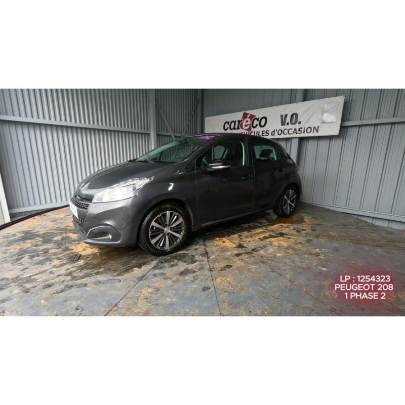 Porte arriere gauche PEUGEOT 208 1
