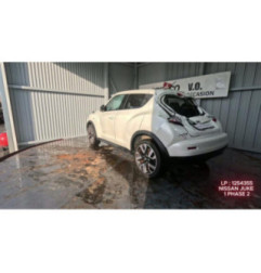 Porte arriere gauche NISSAN JUKE 1 Photo n°3