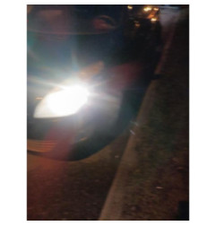 Porte avant droit RENAULT GRAND SCENIC 3 Photo n°10