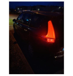 Porte avant droit RENAULT GRAND SCENIC 3 Photo n°14