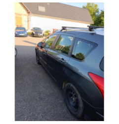 Sigle de calandre PEUGEOT 308 1 SW Photo n°5