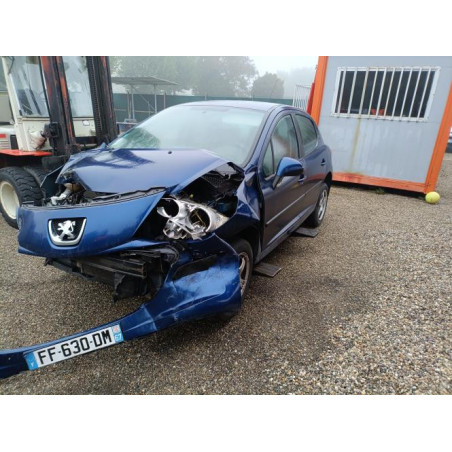 Verin de coffre PEUGEOT 207 Photo n°1