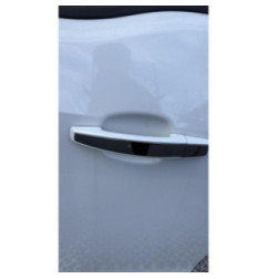 Porte arriere droit OPEL MERIVA B Photo n°4